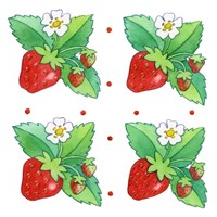 Strawberries Four Fine Art Print