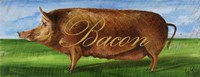 Bacon Fine Art Print
