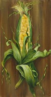 Ear of Corn Fine Art Print