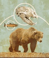 Bear Country Fine Art Print