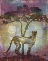 Africa Cheetah Fine Art Print