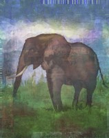 Africa Elephant Fine Art Print