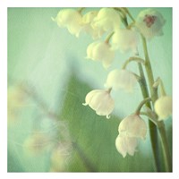Lily of the Valley Fine Art Print