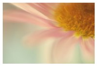 Whisper Fine Art Print