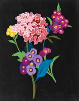 Alpine Bouquet III Fine Art Print