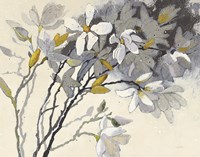 Magnolias Yellow Gray Fine Art Print