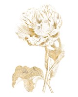 Gilded Botanical VII Fine Art Print