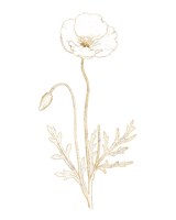 Gilded Botanical I Fine Art Print