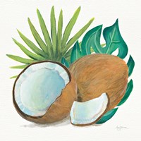 Coconut Palm V Fine Art Print