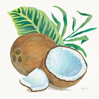 Coconut Palm II Fine Art Print