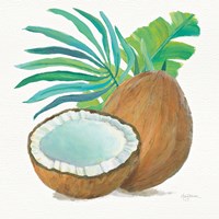 Coconut Palm III Fine Art Print