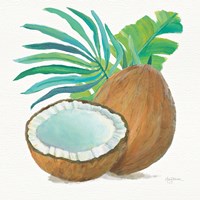 Coconut Palm III Framed Print