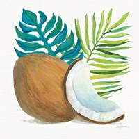 Coconut Palm IV Framed Print