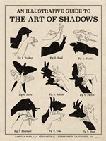 The Art of Shadows X Fine Art Print