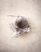 Nest III Fine Art Print