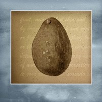 Avocado in Three 01 Fine Art Print