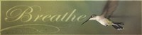 Breathe Fine Art Print