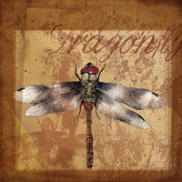 Dragonfly I Fine Art Print