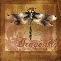 Dragonfly II Fine Art Print