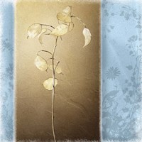 Lunaria II Fine Art Print