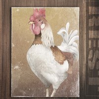 Rooster II Fine Art Print