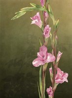 Glad Sisters Fine Art Print