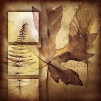 Autumn I Fine Art Print
