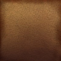 Autumn II Fine Art Print