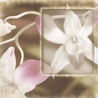 Dendro I Fine Art Print