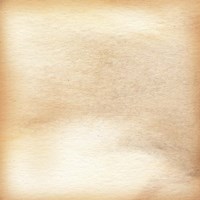 Nautalis II Fine Art Print