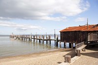 China Camp Pier Fine Art Print