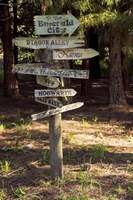 Oh The Places You Will Go Fine Art Print