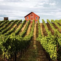 Dry Creek Barn Fine Art Print