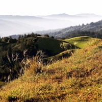 Hilltop Vista Fine Art Print