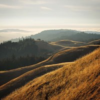 Marin Hills Fine Art Print