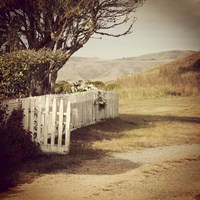 Olden Days 3 Fine Art Print