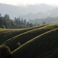 Rolling Fog and Rolling Hills Fine Art Print