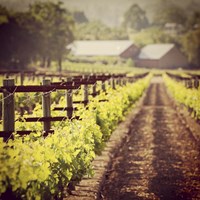 The New Vintage Fine Art Print