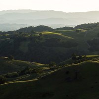 Vineyard Hills Fine Art Print