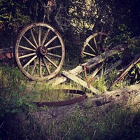 Wagon Wheels Fine Art Print