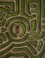 Bridal Path Fine Art Print