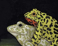 Horny Toads 3 Fine Art Print