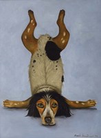 K9 Contornionist Fine Art Print