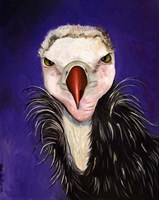 Baby Vulture Fine Art Print