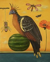 Hoatzin 2 Fine Art Print