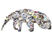 Anteater Fine Art Print