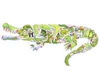 Crocodile Fine Art Print