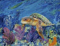 Loggerhead Turtle Fine Art Print