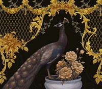 Black Peacock Fine Art Print
