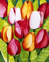 Tulip Time Fine Art Print